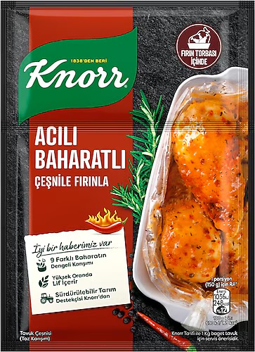 KNORR ACILI BAHARATLI TAVUK CESNISI (12 x 31gr)