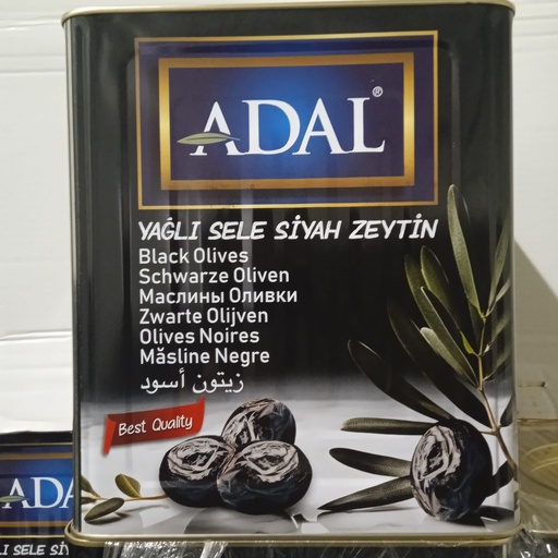 ADAL YAGLI SELE SIYAH ZEYTIN GEMLIK (261-290) SUZME 10KG TENEKE